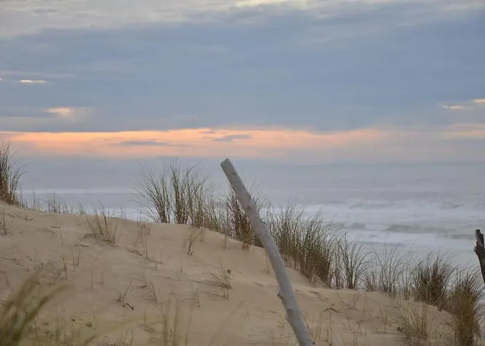 Appartement Soustons Plage Lejlighed Soustons
